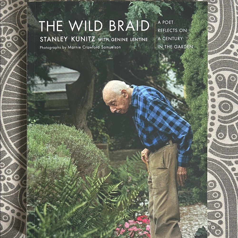 The Wild Braid Book